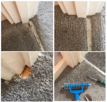 Carpet damage repair example
